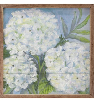 Limelight Hydrangeas By Audrey Jeanne Roberts